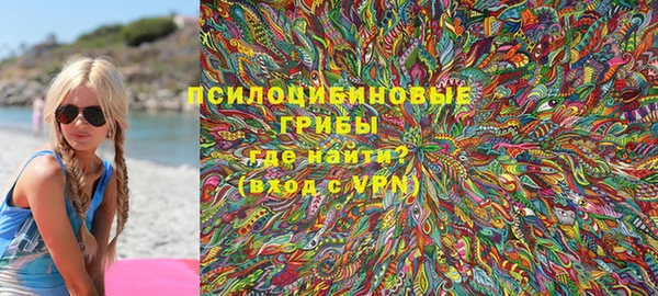 молекула духа Волоколамск