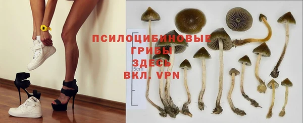 молекула духа Волоколамск
