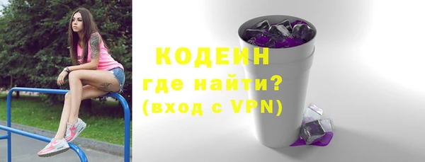 молекула духа Волоколамск