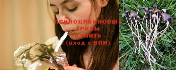 spice Волосово